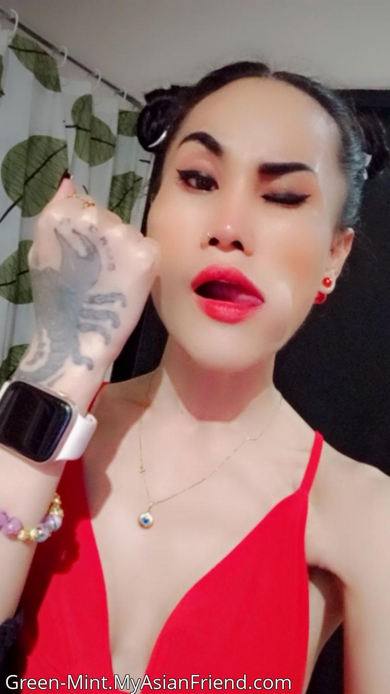 Green-mint's personal blog photo 1 added Sunday the 24th of September 2023